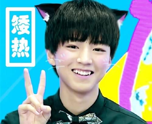 lisa官方中文名字是什么（lisa 真名中文）