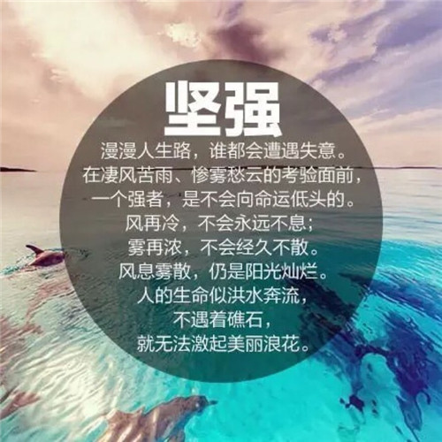哇咔哇咔 的名字叫什么（哇咔哇咔完整版歌曲）